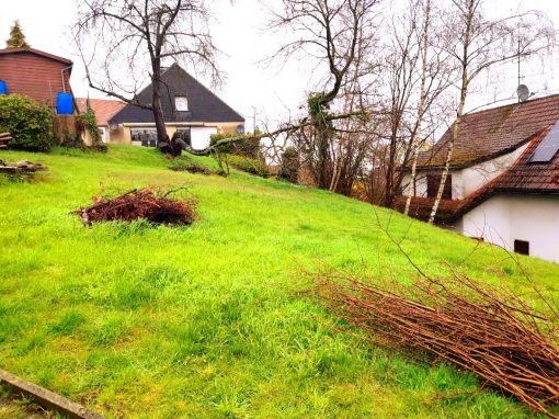 Traumhaftes Hanggrundstück für Einfamilienhaus in Do-Berghofen